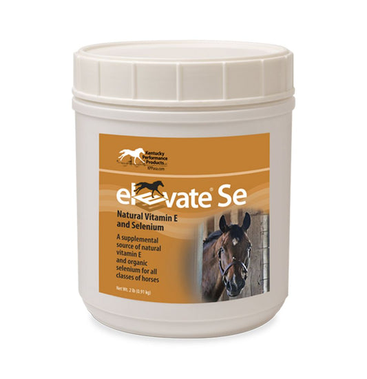 Elevate SE