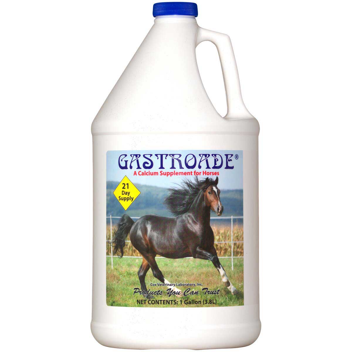 Gastroade