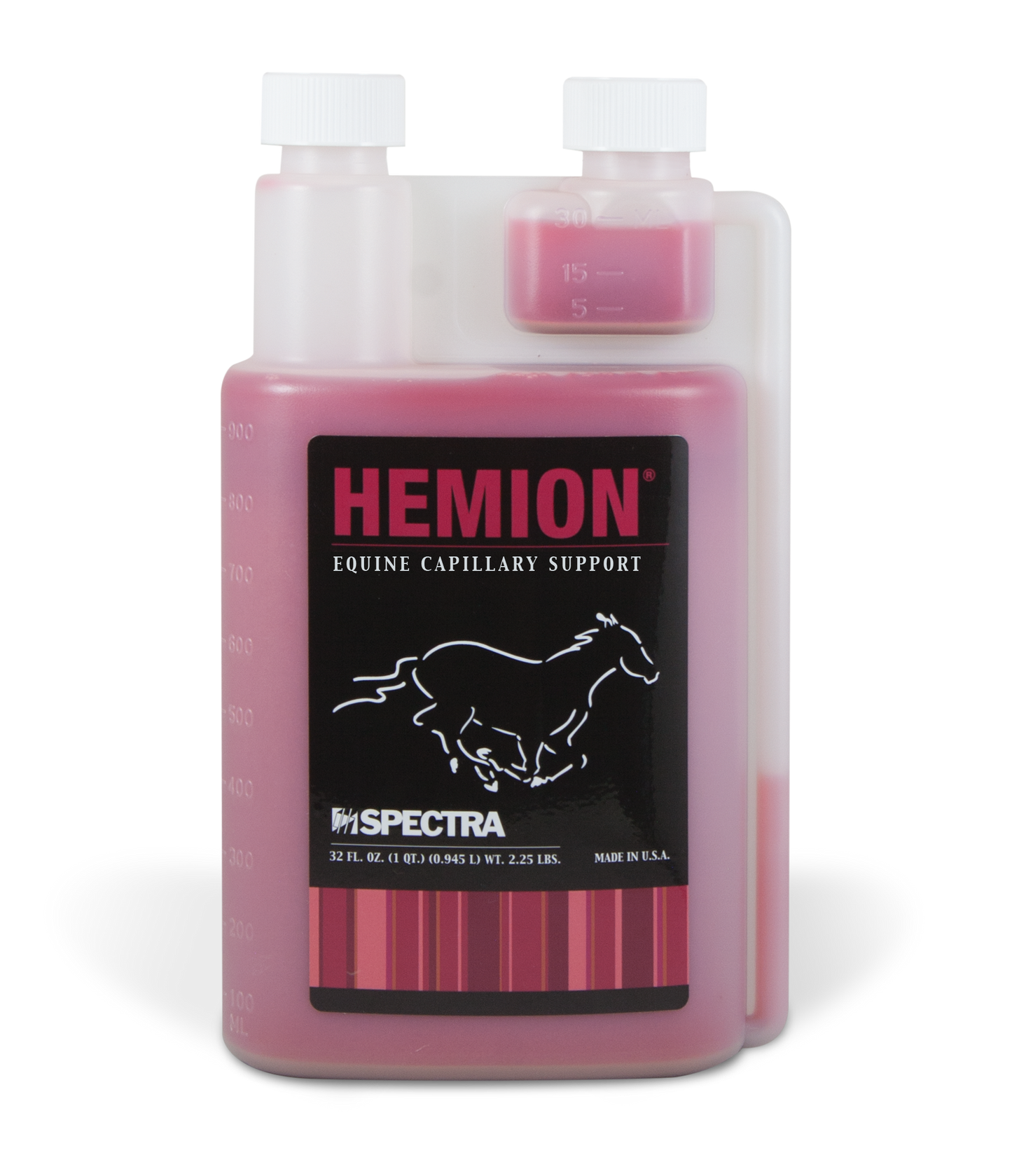 Hemion