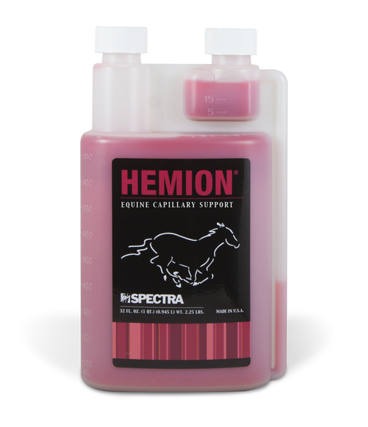 Hemion