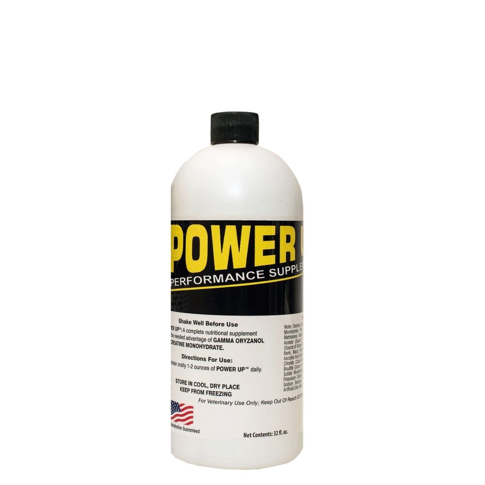 Power Up