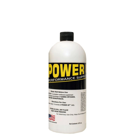 Power Up