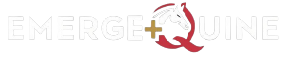 EmergeQuine