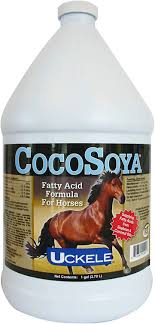 CocoSoya