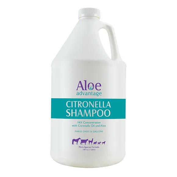 Aloe Citronella Shampoo