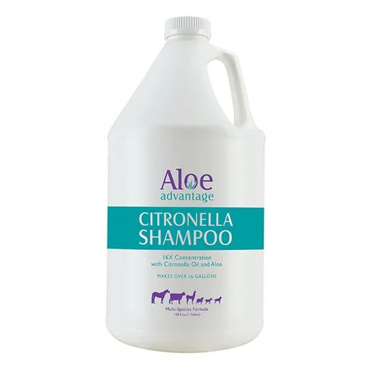 Aloe Citronella Shampoo