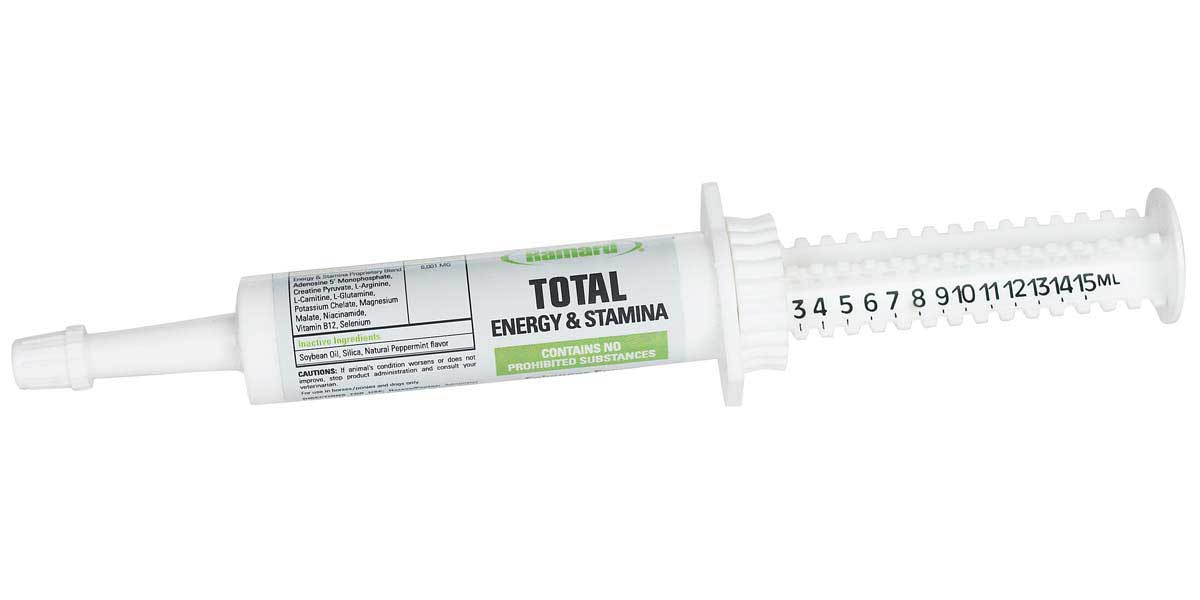 Total Energy & Stamina Paste
