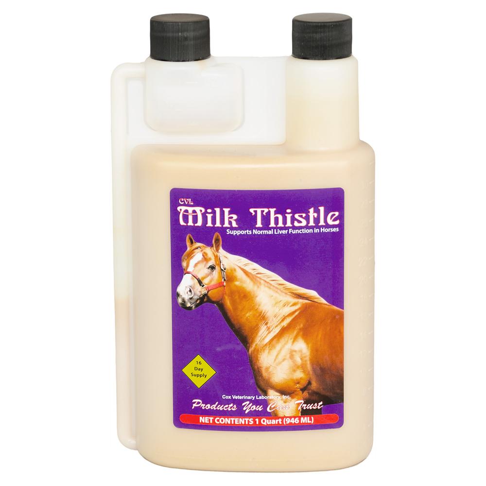 Milk Thistle