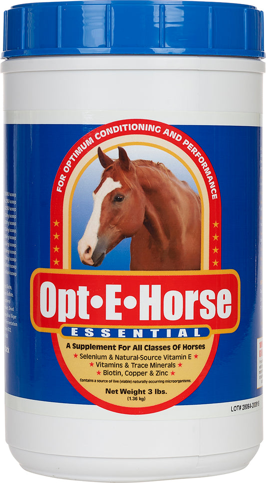 Opt E Horse