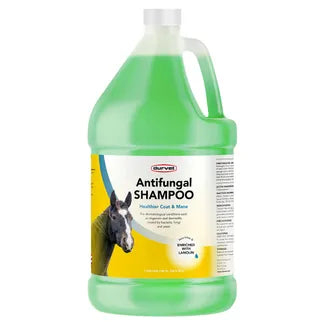 Antifungal Shampoo for Horses